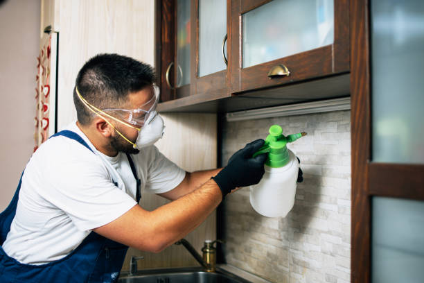 Best Affordable Pest Control Services  in Loudon, TN