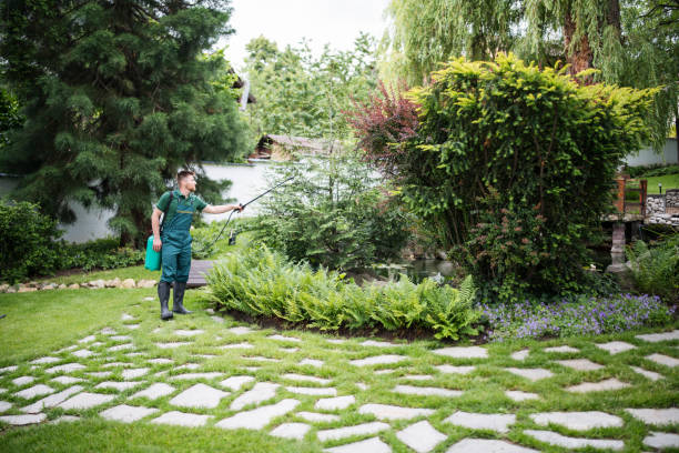 Trusted Loudon, TN Pest Control Experts