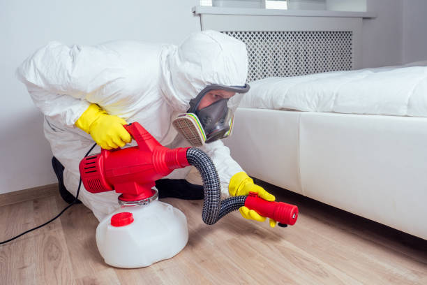 Best Termite Control Services  in Loudon, TN