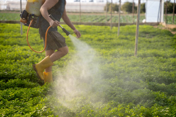 Best Mosquito Control Services  in Loudon, TN