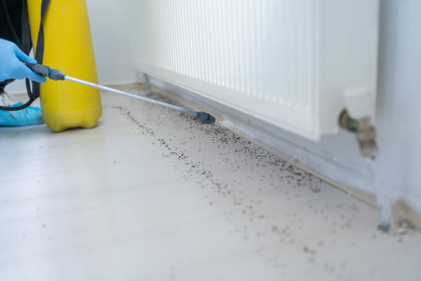 Best Pest Control Treatment  in Loudon, TN