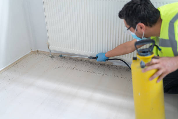 Best Pest Removal Services  in Loudon, TN