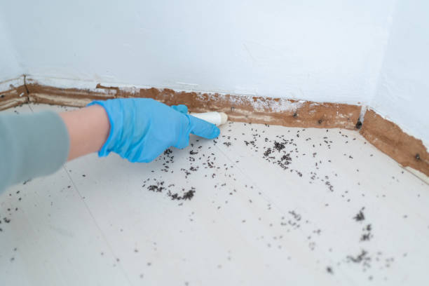 Best Pest Control for Businesses  in Loudon, TN