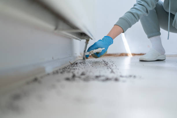 Best Residential Pest Control  in Loudon, TN