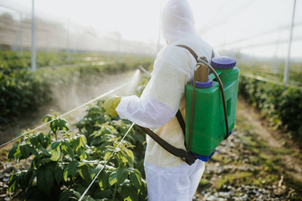 Best Cockroach Control Services  in Loudon, TN